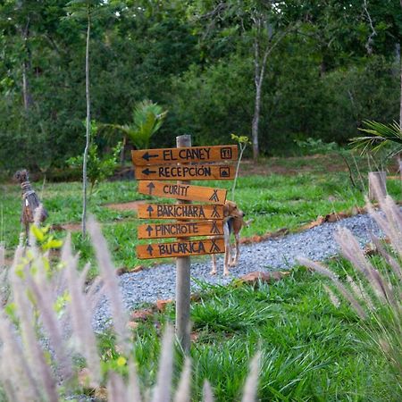 Nativo Glamping Hotel Barichara Exterior foto