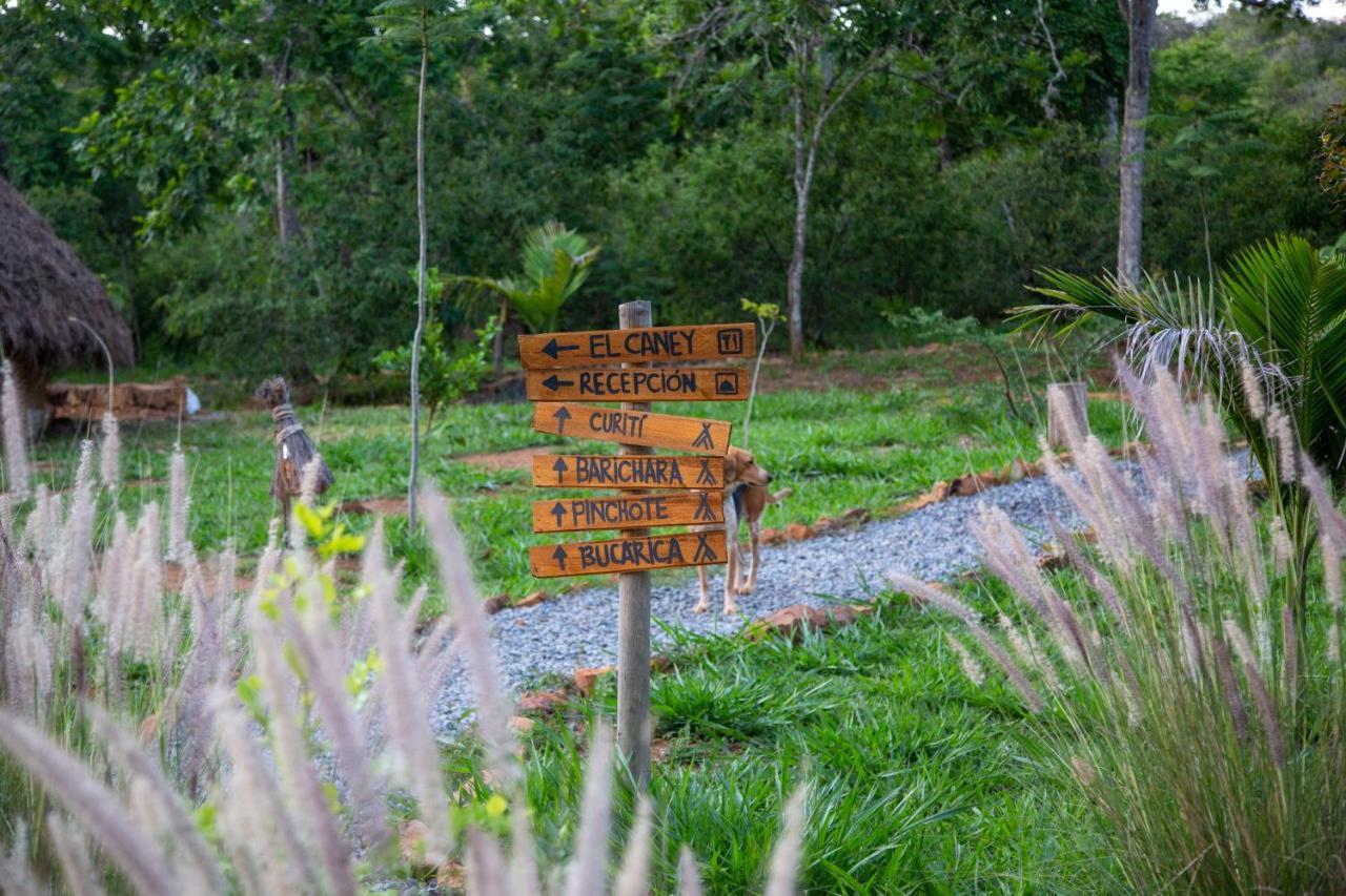 Nativo Glamping Hotel Barichara Exterior foto